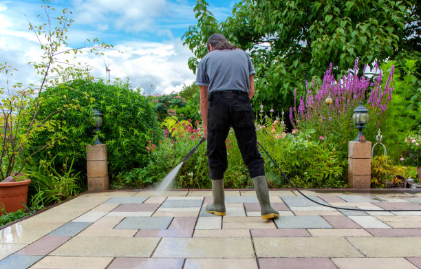 Best Roof Cleaning and Mildew Removal in Eau Claire, WI